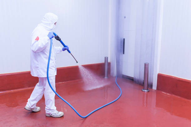Best Winterizing Services  in Mcdonough, GA